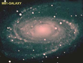 m81
