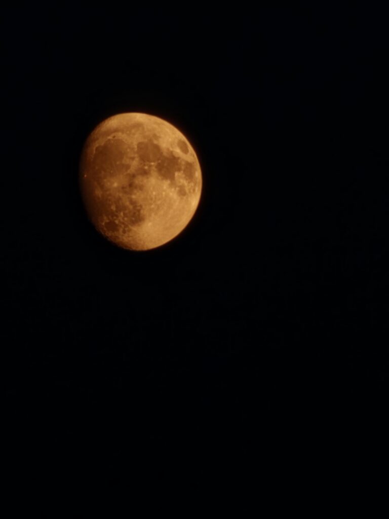 Waxing gibbous moon